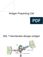 Antigen Presenting Cell