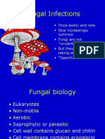 Fungi Zuger