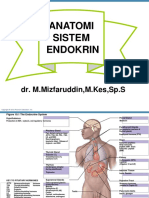 Anatomi Sistem Endokrin: Dr. M.Mizfaruddin, M.Kes, SP.S