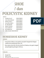 SGD 15 - Horseshoe Kidney Dan Polycystic Kidney