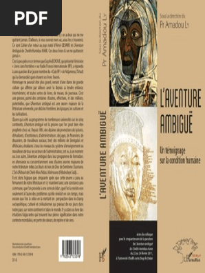 L Aventure Ambigue