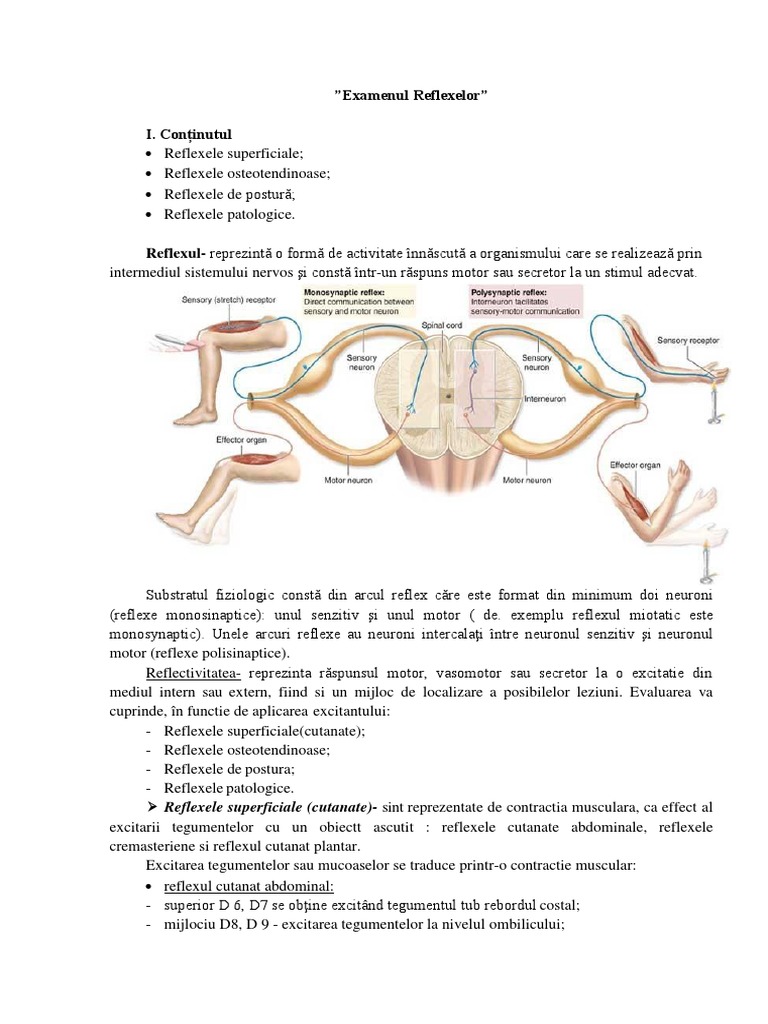 Examenul Reflexelor | PDF