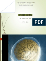 El Cerebro y Neurociencias