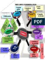 Infografia Timex 1 Cheila Paternina Julio