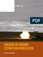 Resumo Ensaios Estrategia Brasileira Acc6