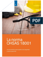 La Norma Ohsas 18001