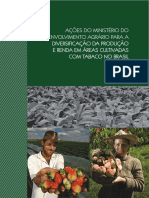 Diversificação ao Tabaco.pdf