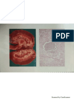 Pathology PDF