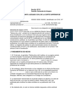 Demanda de amparo por derecho a rectificación