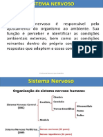 Sistema Nervoso Em PDF