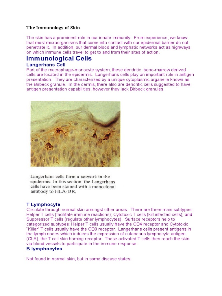 The Immunology of Skin | Download Free PDF | Immune System | T Cell