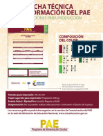 Indicaciones de Diseño de La Ficha Técnica de Información Del PAE