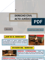 DerechoCivil Acto Jurídico.pptx