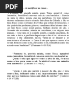 As Metáforas Do Amor