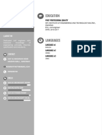 Modern Resume 2 PDF