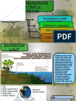 Peranan Hutan Mangrove