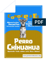 El Chihuahua