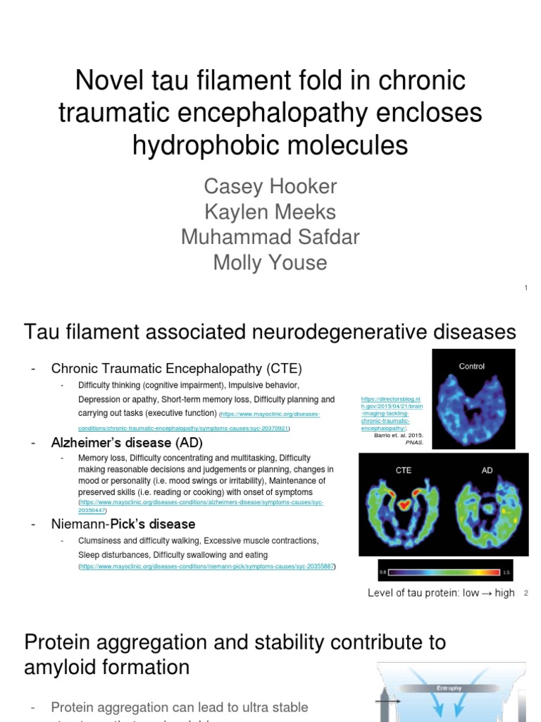 Cte Tau Filaments Dist Pdf Chronic Traumatic Encephalopathy