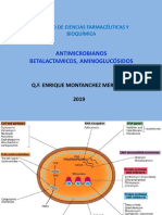 9 Betalactámico Aminoglucósido.ppt