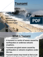 Group Members:: Tsunami