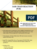 Polymerase Chain Reaction PCR PDF