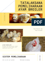Tatalaksana Pemeliharaan Ayam Broiler