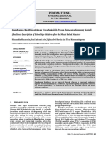 gambaran resiliensi pd anak pasca bencana gunung kelud.pdf