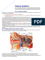 SistemaAuditivo.pdf