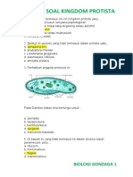 Soal Protista Ok PDF