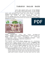 6 Proses Tahapan Dalam Daur Nitrogen