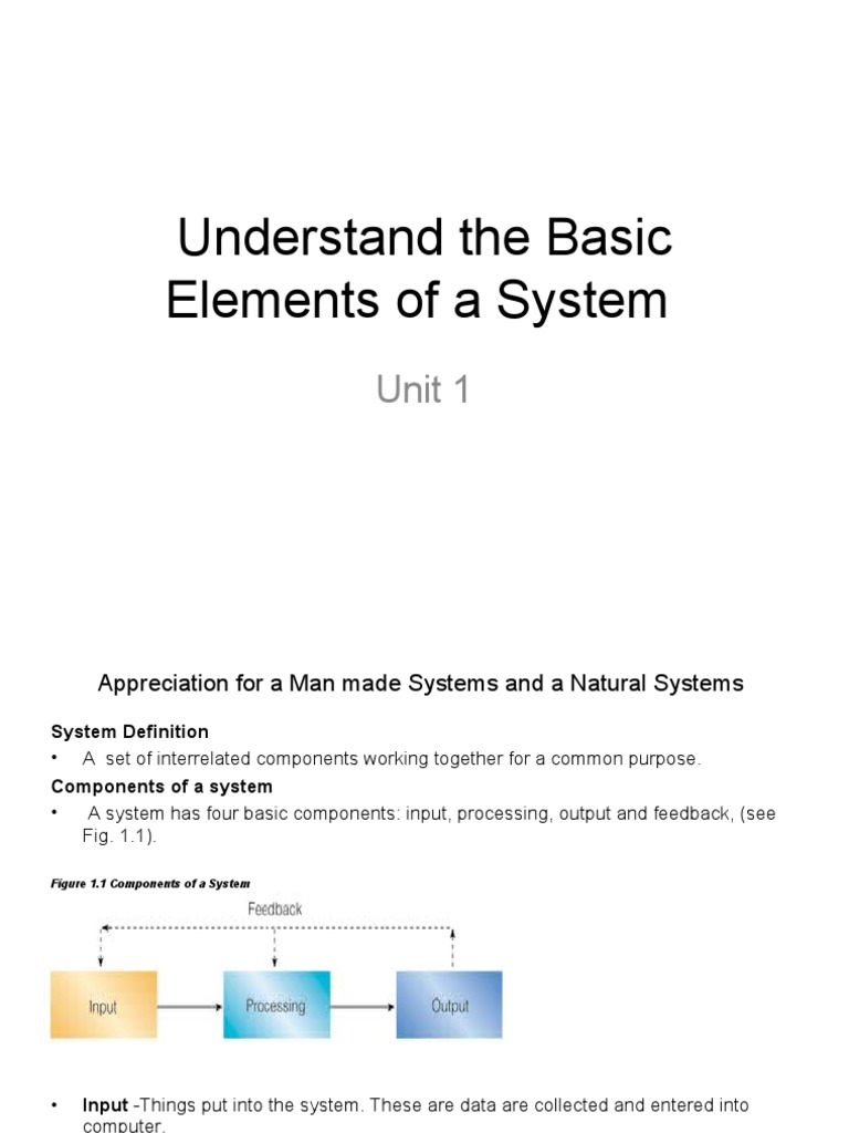 Unit 1 Understand The Basic Elements of A System Sys Dev | PDF | Nature ...