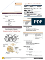 Diseases of The Pns Rosales, MD: Peripheral Nervous System