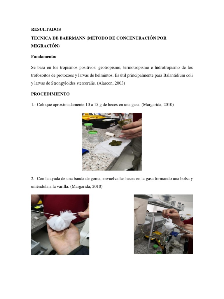 Técnica de Baermann en Parasitología | PDF | Larva | Heces
