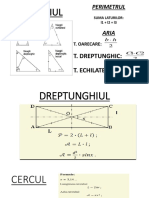 TRIUNGHIUL