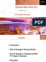 Underground Mine Geology
