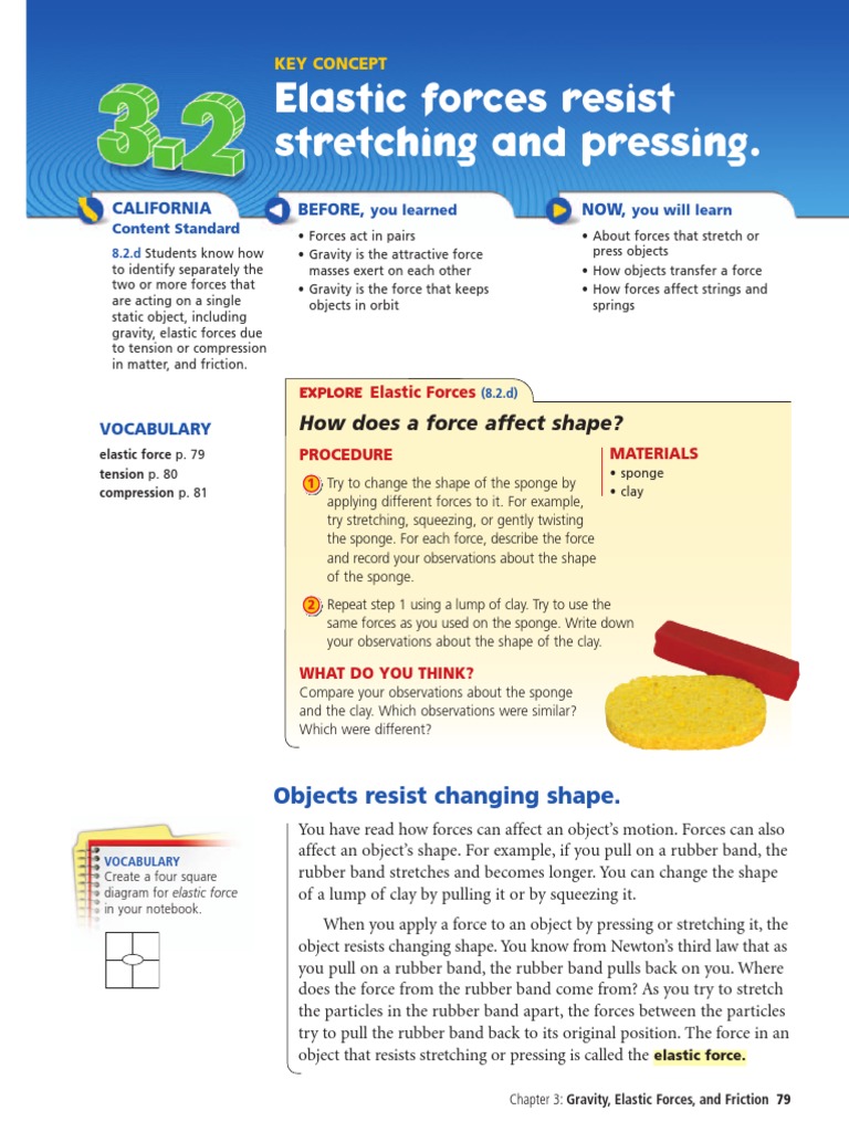 Elastic Forces Resist Stretching and Pressing.: How Does A Force Affect ...