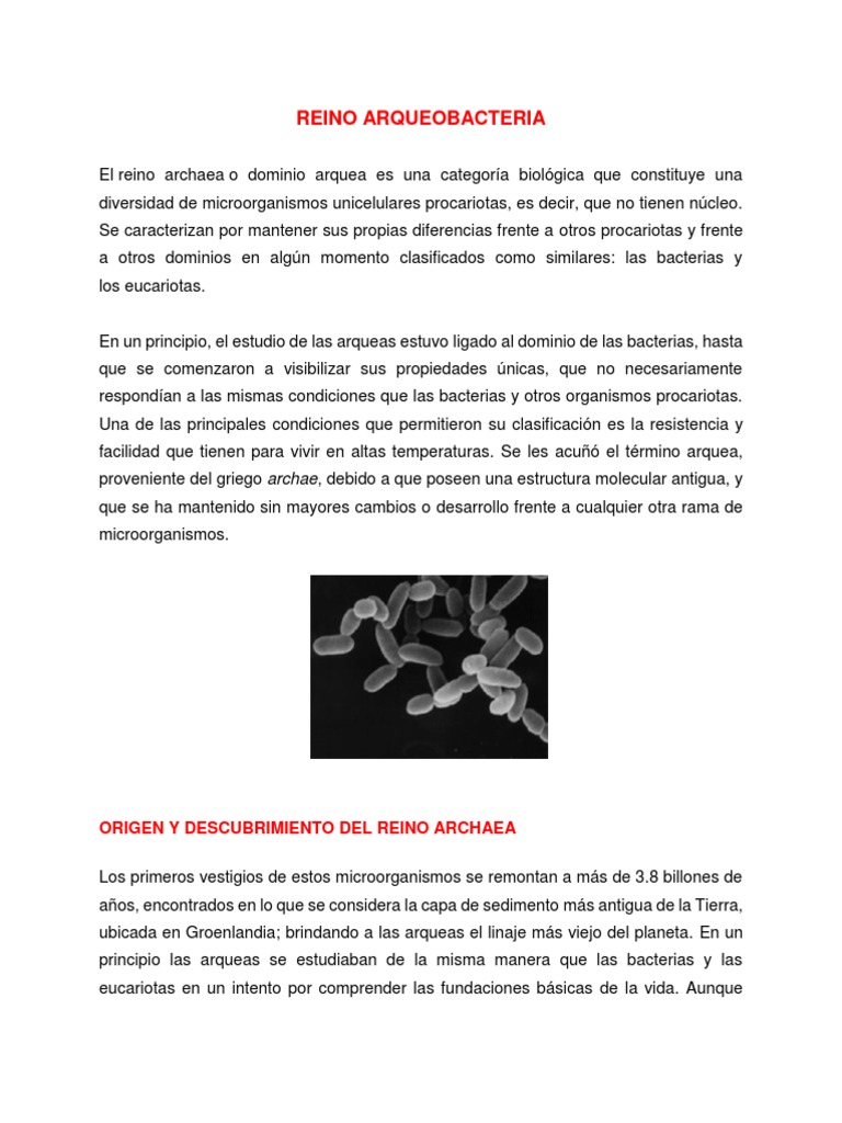 Características y Clasificación de Arqueas | PDF | Archaea | Las bacterias