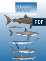 The European Shark Guide