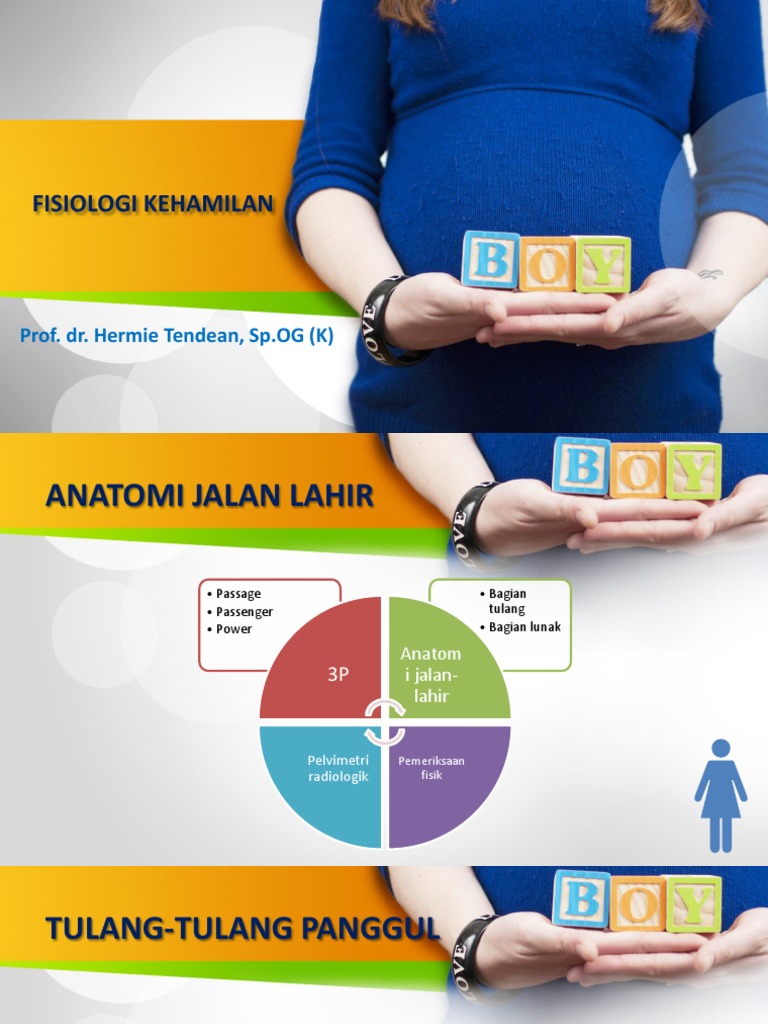 Presentasi - Anatomi Dan Fisiologi Kehamilan | PDF