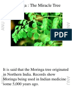 Moringa PPT by Anu Shah
