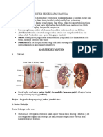 Sistem Pengeluaran Manusia