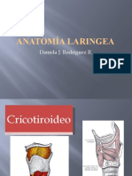 Anatomía Laringea