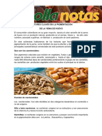 factoresclavesenlapigmentaciondelayemadehuevocomercialsollanotas.pdf