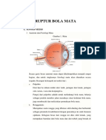 119503109-Ruptur-Bola-Mata-Jadii.docx