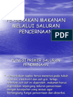 Anatomi-dan-Fisiologi-Pertemuan-12.ppt