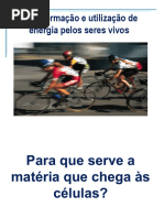 Obtenção de Energia