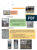 Laboratorio N°7 - Proteínas