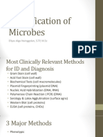 Identification of Microbes: Ellyas Alga Nainggolan, S.TP, M.SC