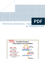 Unit 5 - Dna Transcription-Translation