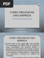 Aula_3S3_A Organização e Estrutura